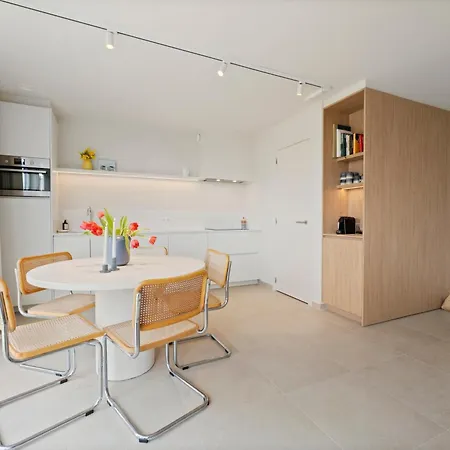 Dune 161 Stijlvol Duplex Aan Zee Blankenberge