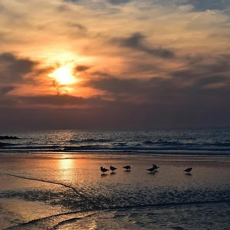Dune 161 Stijlvol Duplex Aan Zee *